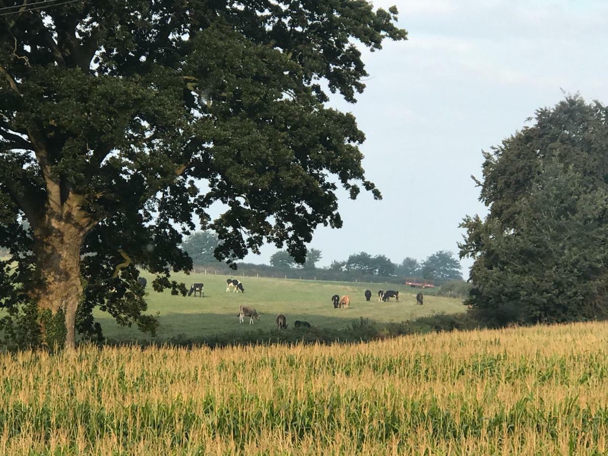 Hunters Lodge Exeter, Free Parking, Country Views, Great Wi-Fi, Large Garden Poltimore 외부 사진